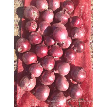 Exportar nueva cosecha buena calidad competitiva 3-5cm cebolla roja